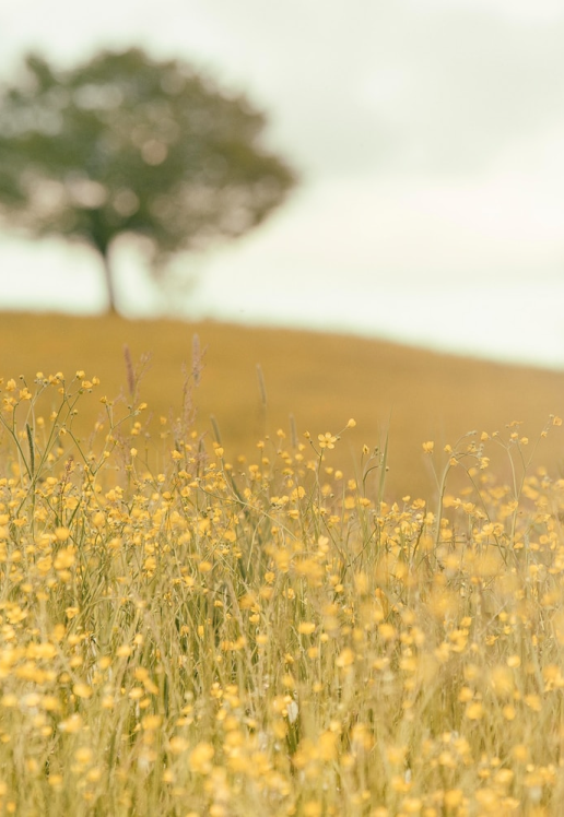 unsplash 6 C0VRsagUw