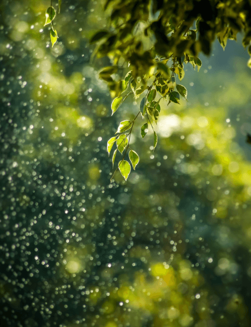 corte tavignano placeholder 2