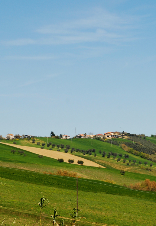 Progetto senza titolo