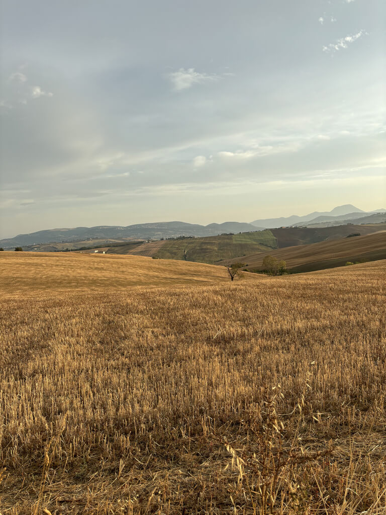 panorama home